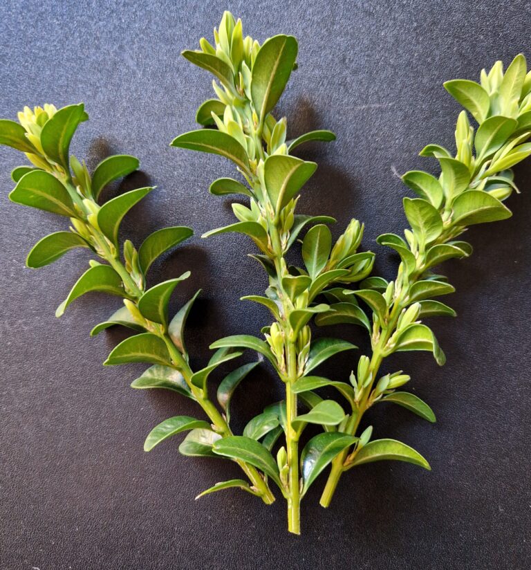 Familiengottesdienst am Palmsonntag